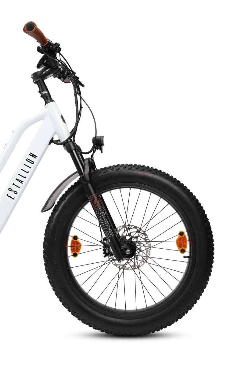 eStallion Wild 26", 250W, 36V, 750Wh – Bild 7